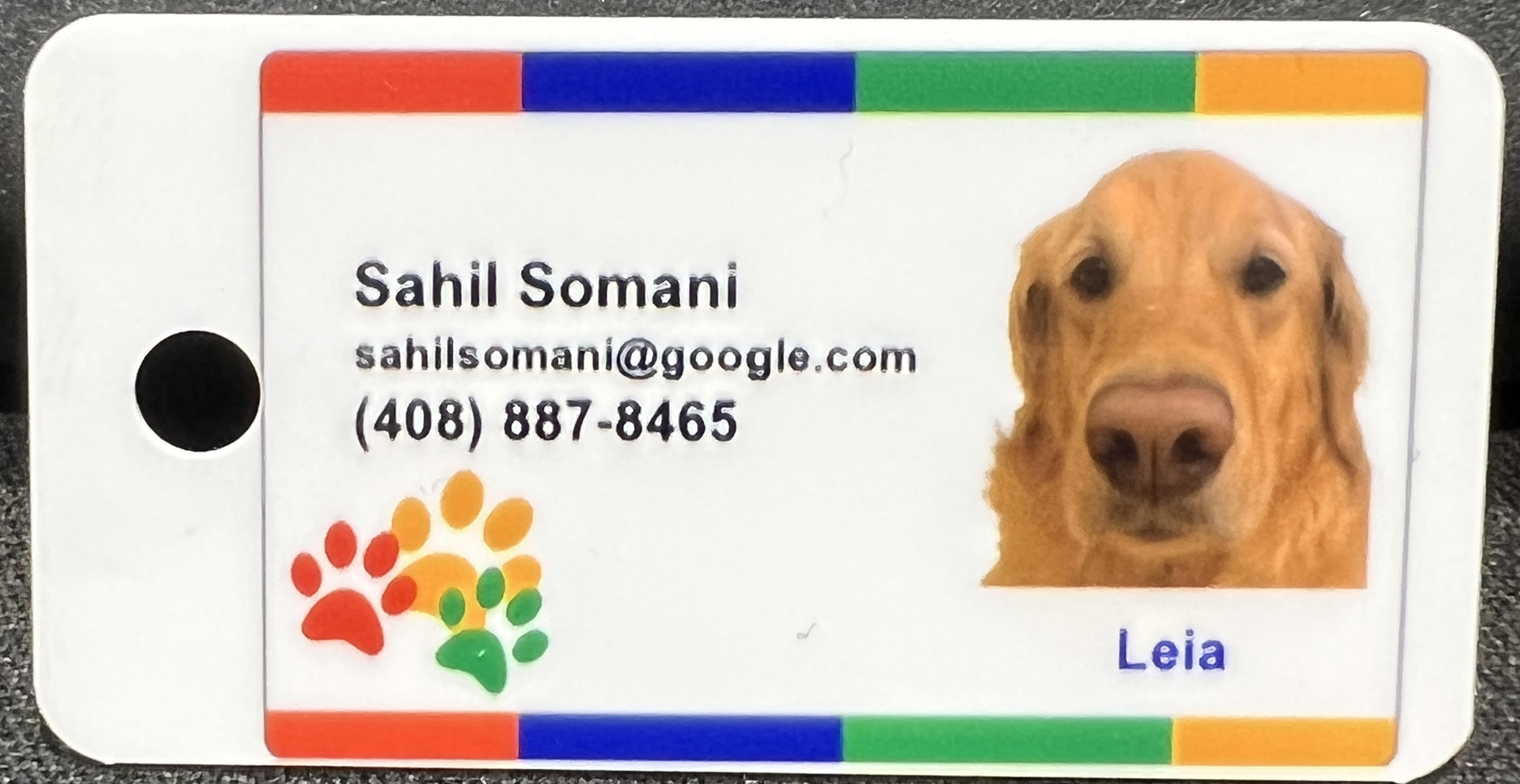 Google dog tag for Sahil's dog.